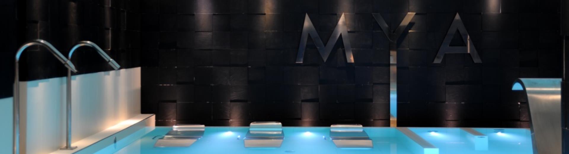 Convention Hotel Metropoli with the Spa MYA