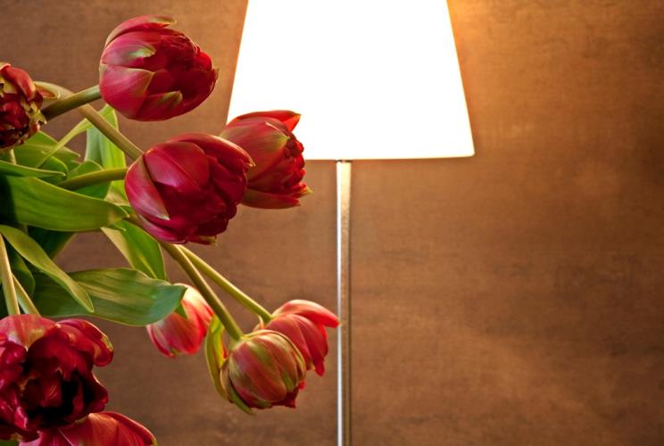 Best Western Hotel Metropoli - Genova I tulipani del Metropoli