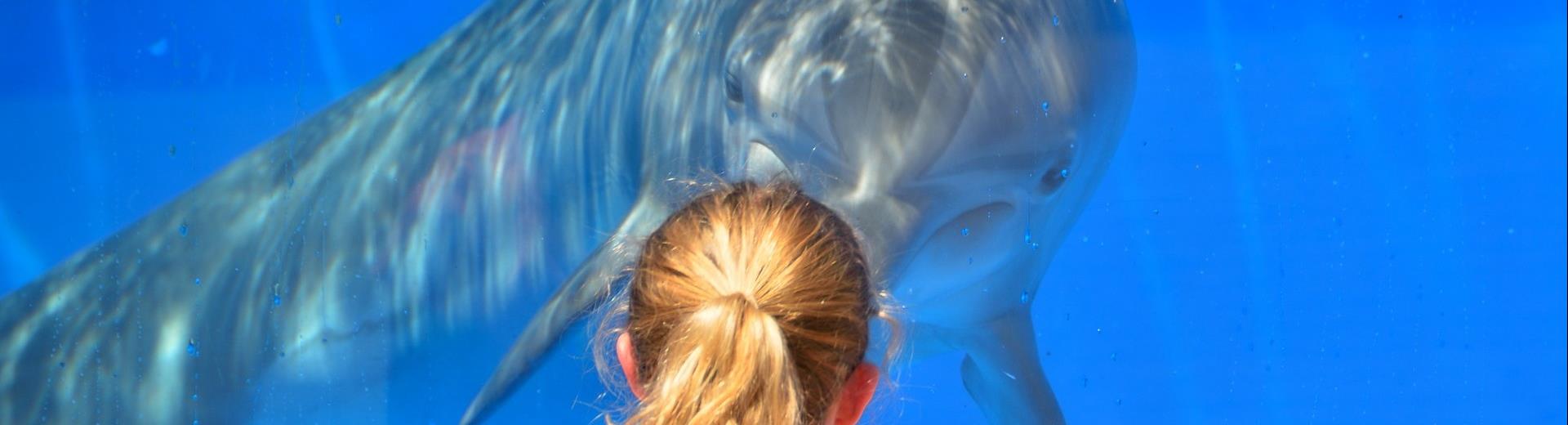 Visita l'Acquario di Genova a pochi passi dall'Hotel Metropoli